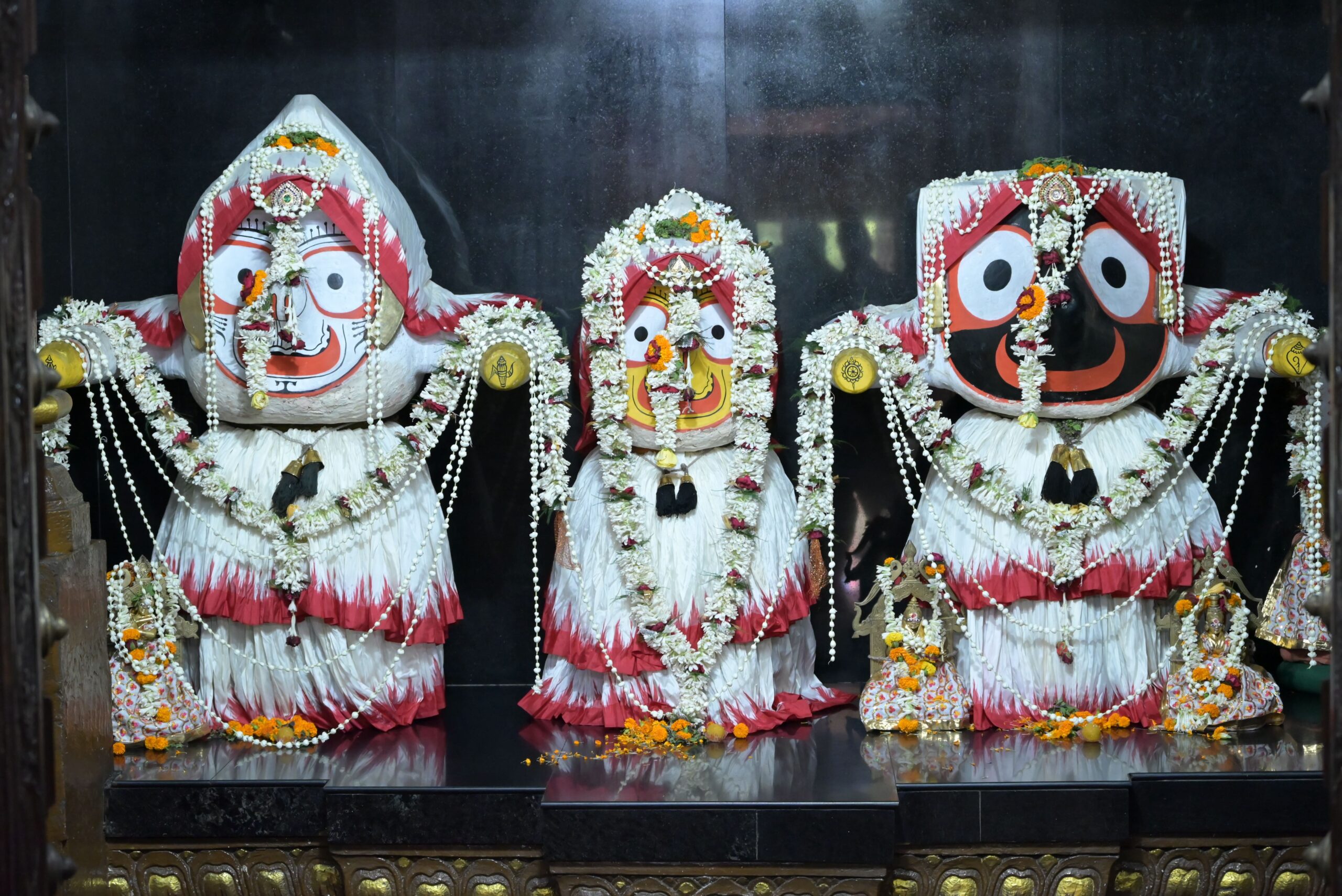 Jay Jagannath